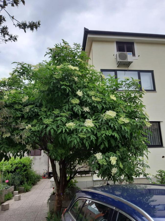 Apartma Lavela Izola Eksteriør bilde